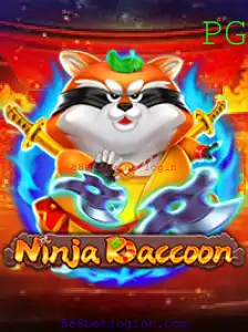Descubra o Fascinante Mundo de NinjaRaccoon e Seu Impacto Atual